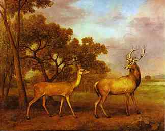 马鹿鹿和雌鹿 Red Deer Stag and Hind (1792)，乔治·斯塔布斯