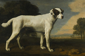 戈曼斯顿子爵的白狗 Viscount Gormanston’s White Dog (1781)，乔治·斯塔布斯