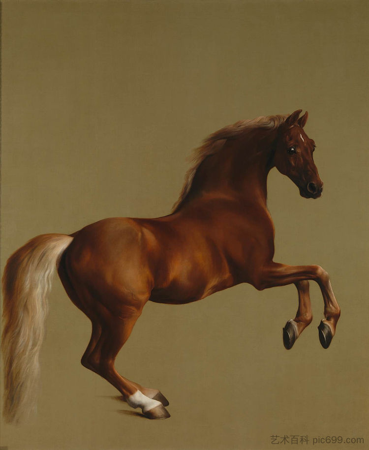 举报夹克 Whistlejacket (1762)，乔治·斯塔布斯