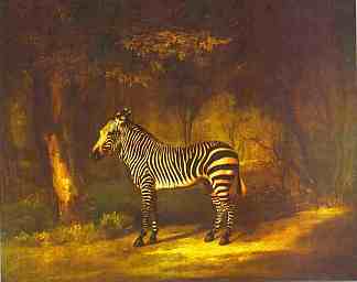 斑马 Zebra (1762 – 1763)，乔治·斯塔布斯