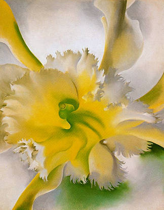 兰花 An Orchid (1941)，乔治亚·奥基夫