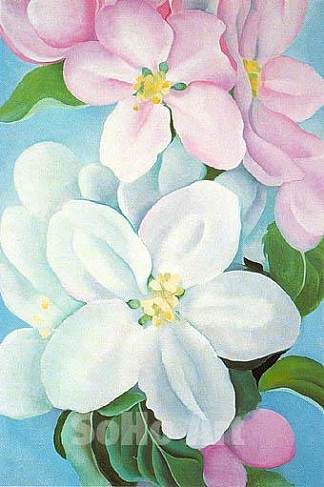 苹果开花 Apple Blossoms (1930)，乔治亚·奥基夫