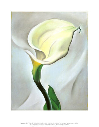 卡拉莉莉转身离开 Calla Lily Turned Away (1923)，乔治亚·奥基夫