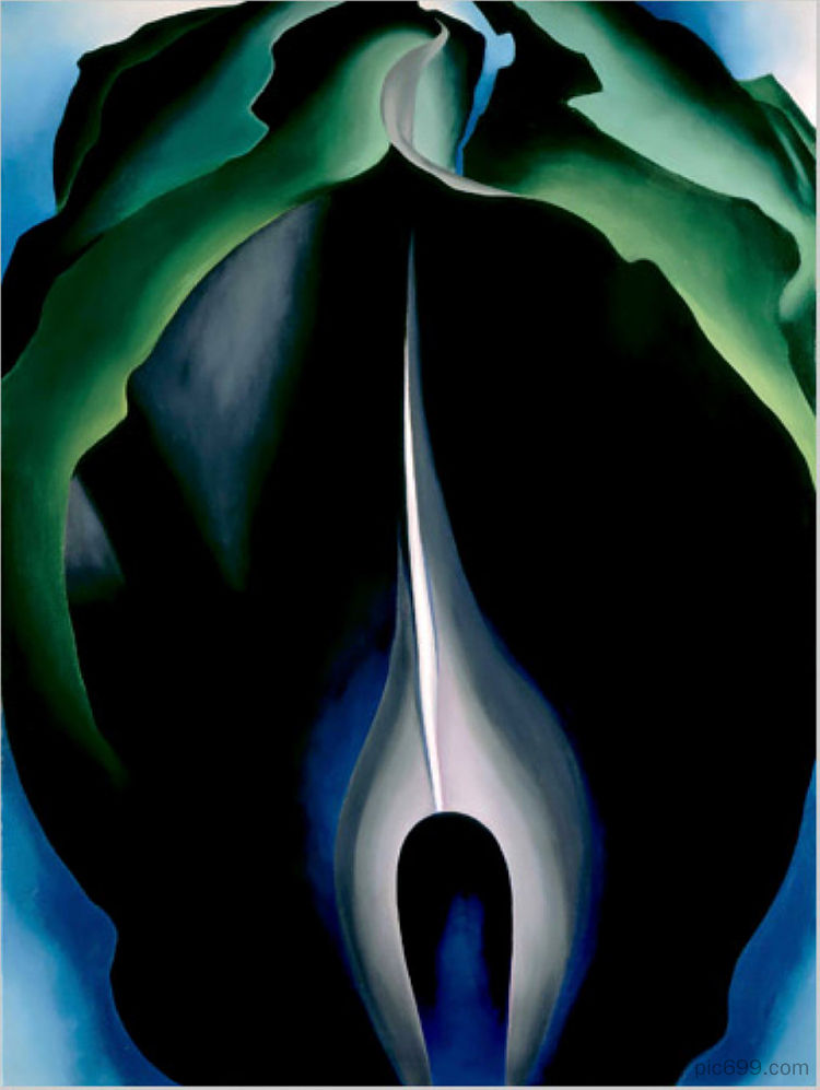 讲坛上的杰克四号 Jack-in-the-Pulpit No. IV (1930)，乔治亚·奥基夫