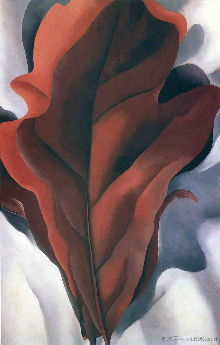 白色的大深红色叶子 Large Dark Red Leaves on White，乔治亚·奥基夫