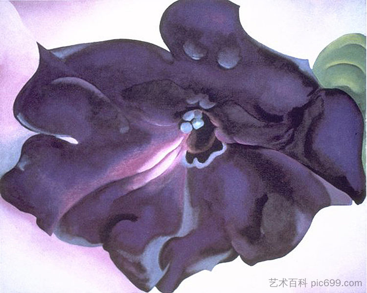 佩妮 Petunia (1925)，乔治亚·奥基夫