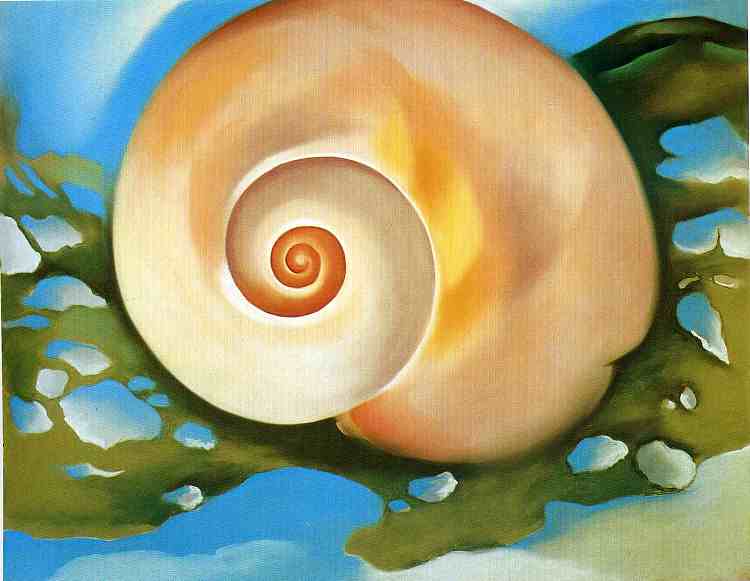 粉色贝壳与海藻 Pink Shell with Seaweed (1937)，乔治亚·奥基夫