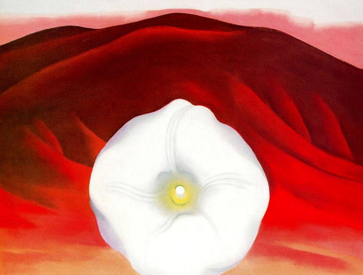 红色的山丘和白色的花朵 Red hills and white flower，乔治亚·奥基夫