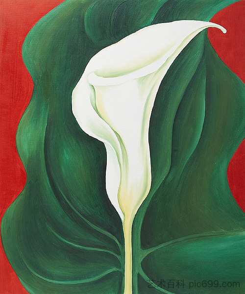 单叶马蹄莲（红） Single Calla Lily (Red)，乔治亚·奥基夫