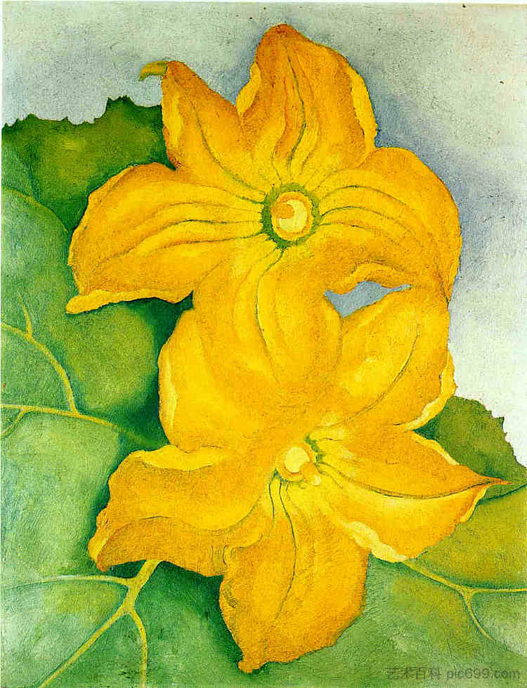 南瓜花 I Squash Blossoms I，乔治亚·奥基夫