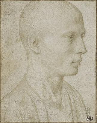 剃光头小男孩半身像的研究 Study of a Bust of Young Boy with Shaved Head，杰勒德·大卫