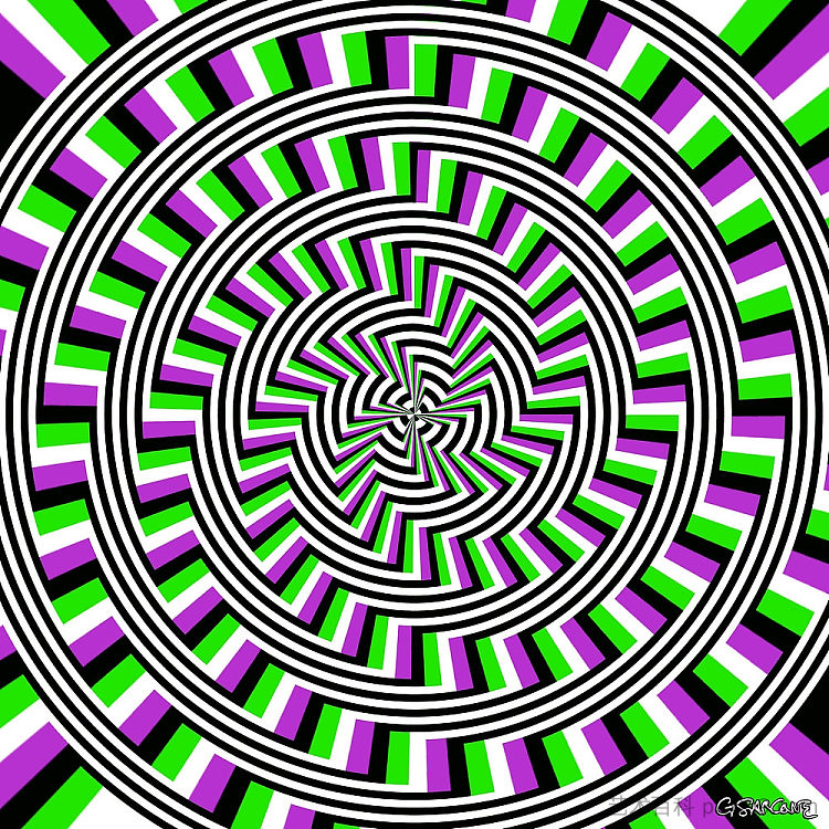 非螺旋 - 2 Unspiral - 2 (c.2003 - c.2005; Genoa,Italy  )，詹尼·萨尔科内