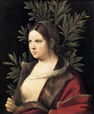 一个年轻女子的肖像（劳拉） Portrait of a Young Woman (Laura) (1506)，乔尔乔内