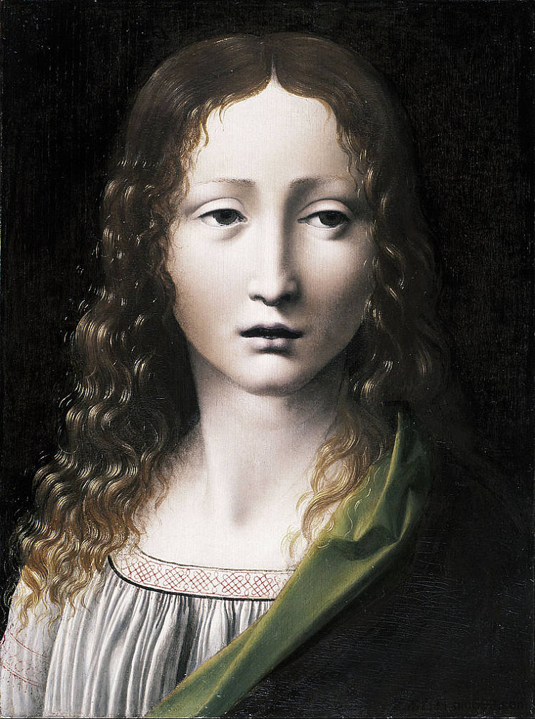 青春期救世主 The Adolescent Saviour (1490 - 1495),乔瓦尼·安东尼奥·博塔费奥