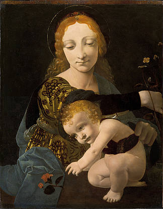 圣母与圣子（玫瑰圣母） The Virgin and Child (The Madonna of the Rose) (1480)，乔瓦尼·安东尼奥·博塔费奥