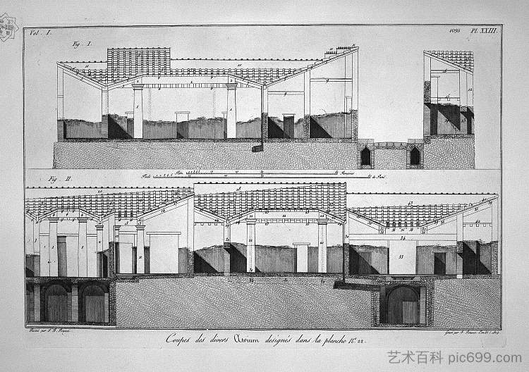 与外科医生对面的房屋有关的植物 Plants related to the houses opposite to that of the Surgeon,乔瓦尼·巴蒂斯塔·皮拉内西