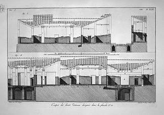 与外科医生对面的房屋有关的植物 Plants related to the houses opposite to that of the Surgeon，乔瓦尼·巴蒂斯塔·皮拉内西