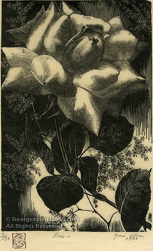 玫 Rose (1936)，格雷丝·阿尔比