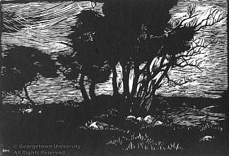 海峡茅斯的柳树 Willows at Straitsmouth (1927)，格雷丝·阿尔比
