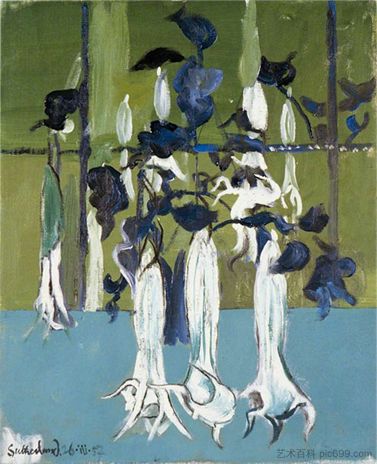 曼陀罗花 Datura Flowers (1957)，格雷厄姆·萨瑟兰