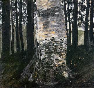 森林中的桦树 Birch in a Forest (c.1903)，古斯塔夫·克林姆特