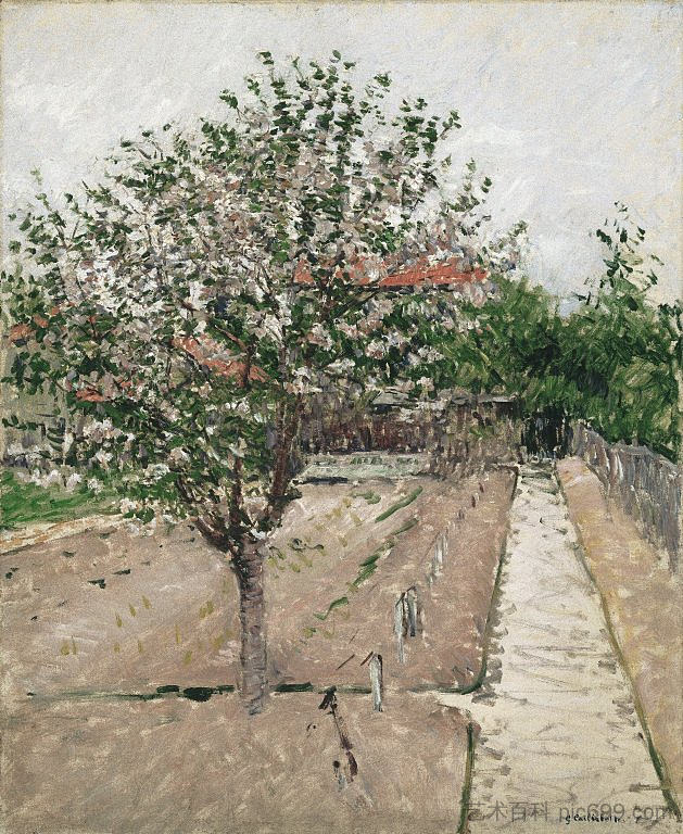 开花中的苹果树 Apple Tree in Blossom (c.1885)，古斯塔夫·卡里伯特