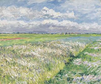 菲尔兹，热讷维耶平原 Fields, Plain of Gennevilliers (c.1884)，古斯塔夫·卡里伯特