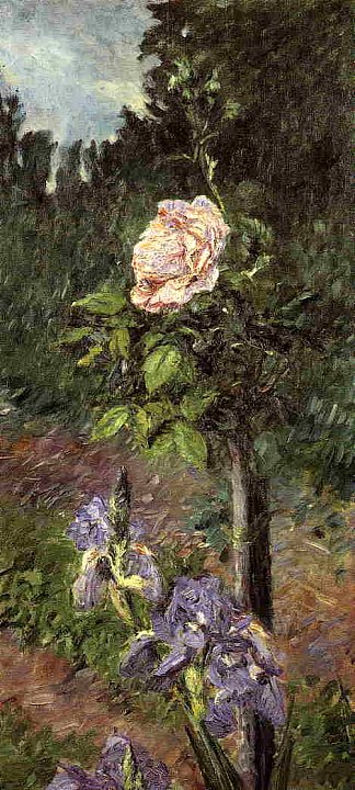 玫瑰与紫色鸢尾花，小热讷维耶花园 Rose with Purple Iris, Garden at Petit Gennevilliers (c.1892)，古斯塔夫·卡里伯特