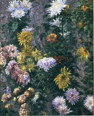 白菊和黄菊花 White and Yellow Chrysanthemums (1893)，古斯塔夫·卡里伯特