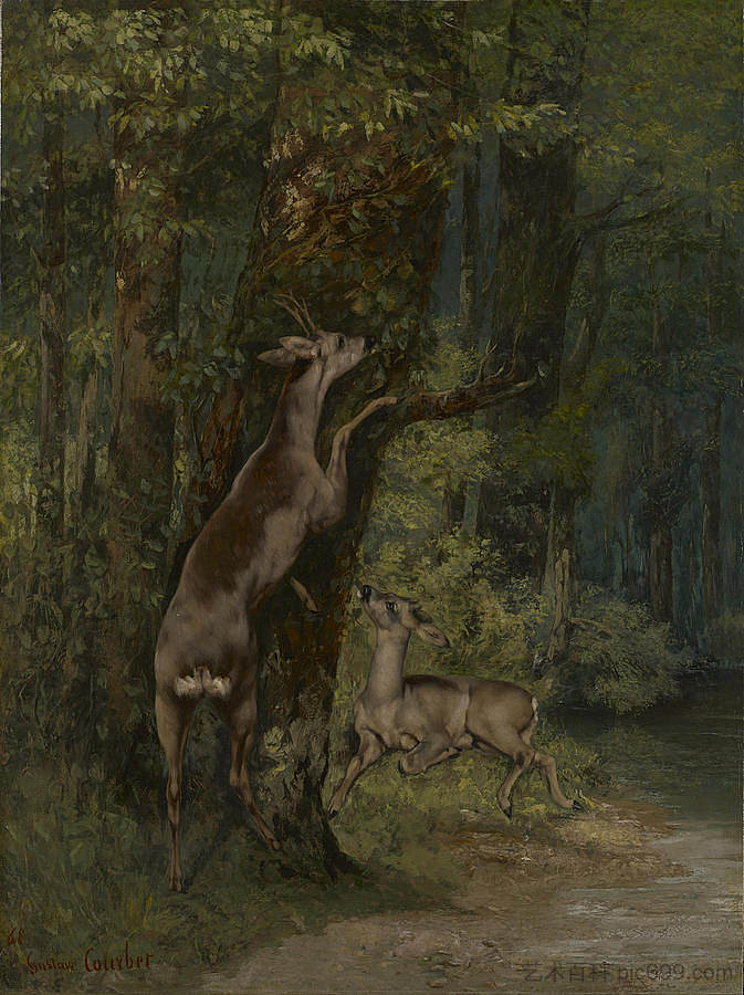 森林里的鹿 Deer in the Forest，古斯塔夫·库尔贝