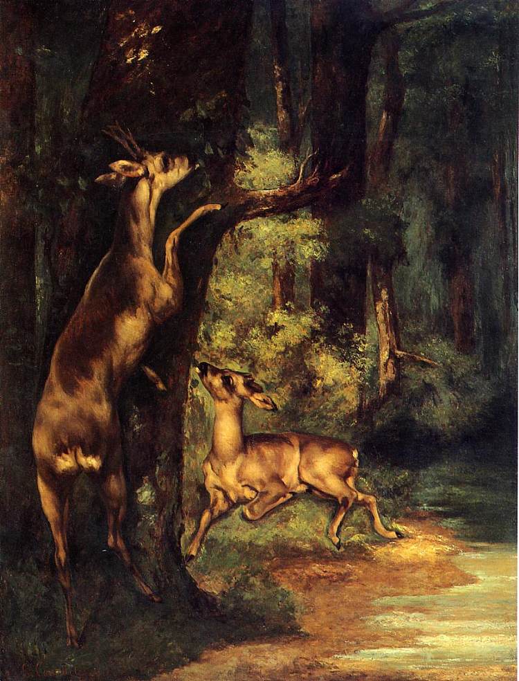 树林里的雄鹿和雌鹿 Male and Female Deer in the Woods (1864)，古斯塔夫·库尔贝