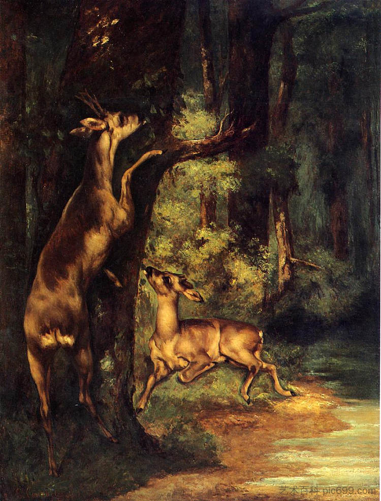 树林里的雄鹿和雌鹿 Male and Female Deer in the Woods (1864)，古斯塔夫·库尔贝