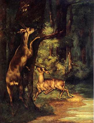 树林里的雄鹿和雌鹿 Male and Female Deer in the Woods (1864)，古斯塔夫·库尔贝