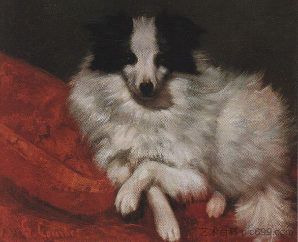 坐在垫子上狗 Sitting on Cushions Dog (1855),古斯塔夫·库尔贝