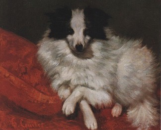 坐在垫子上狗 Sitting on Cushions Dog (1855)，古斯塔夫·库尔贝