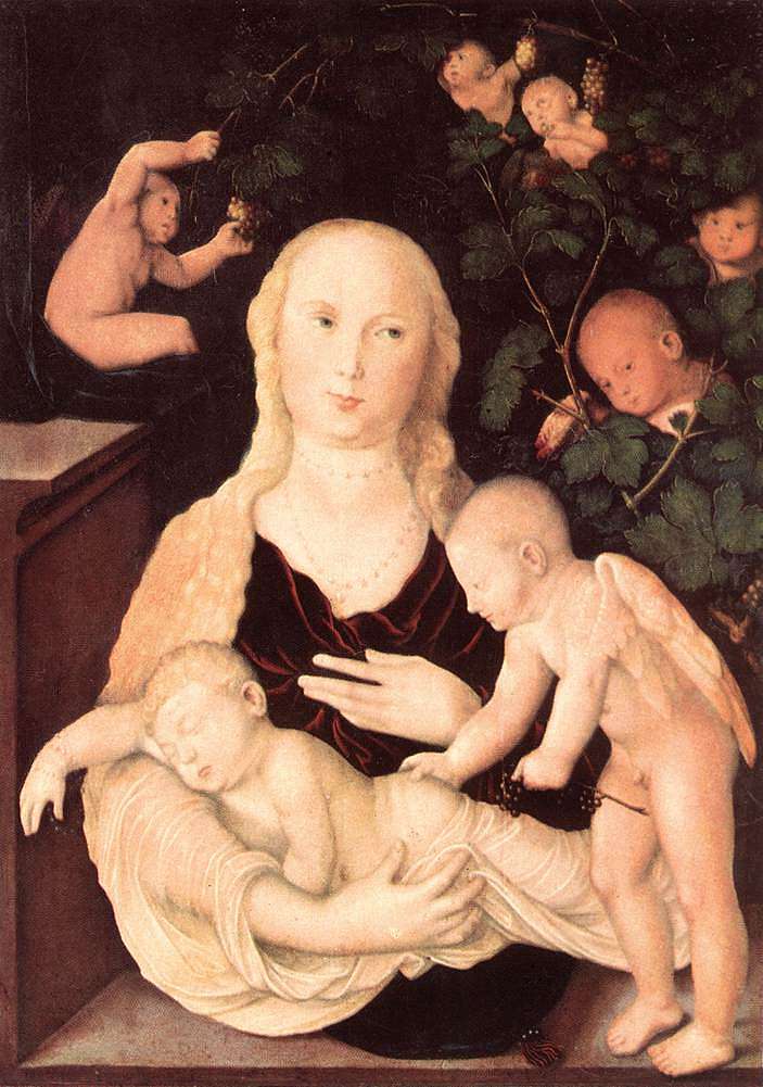 葡萄树格子的处女 Virgin Of The Vine Trellis (c.1541 - c.1543)，汉斯·鲍当