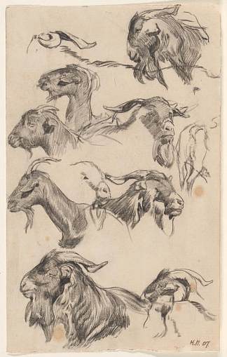 山羊研究 Study of goats (1907)，汉斯海森