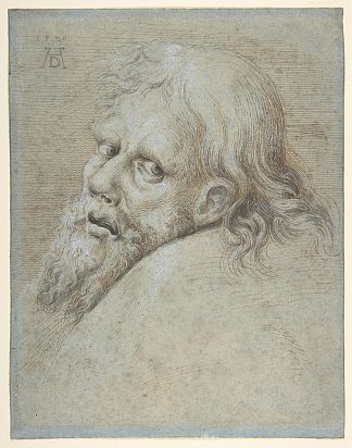 一个大胡子男人的头 Head of a Bearded Man，汉斯·霍夫曼