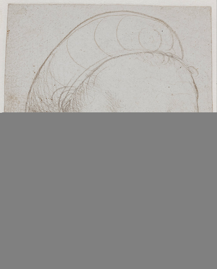 瞄准的弩手头 The Head of a Crossbowman Taking Aim (c.1514 - c.1515)，老汉斯·霍尔拜因