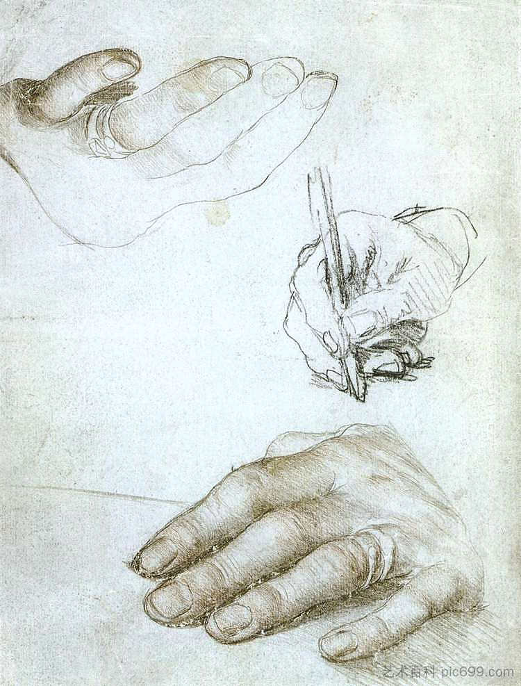 鹿特丹伊拉斯谟之手的研究 Studies of the Hands of Erasmus of Rotterdam (c.1523; Germany  )，汉斯·荷尔拜因