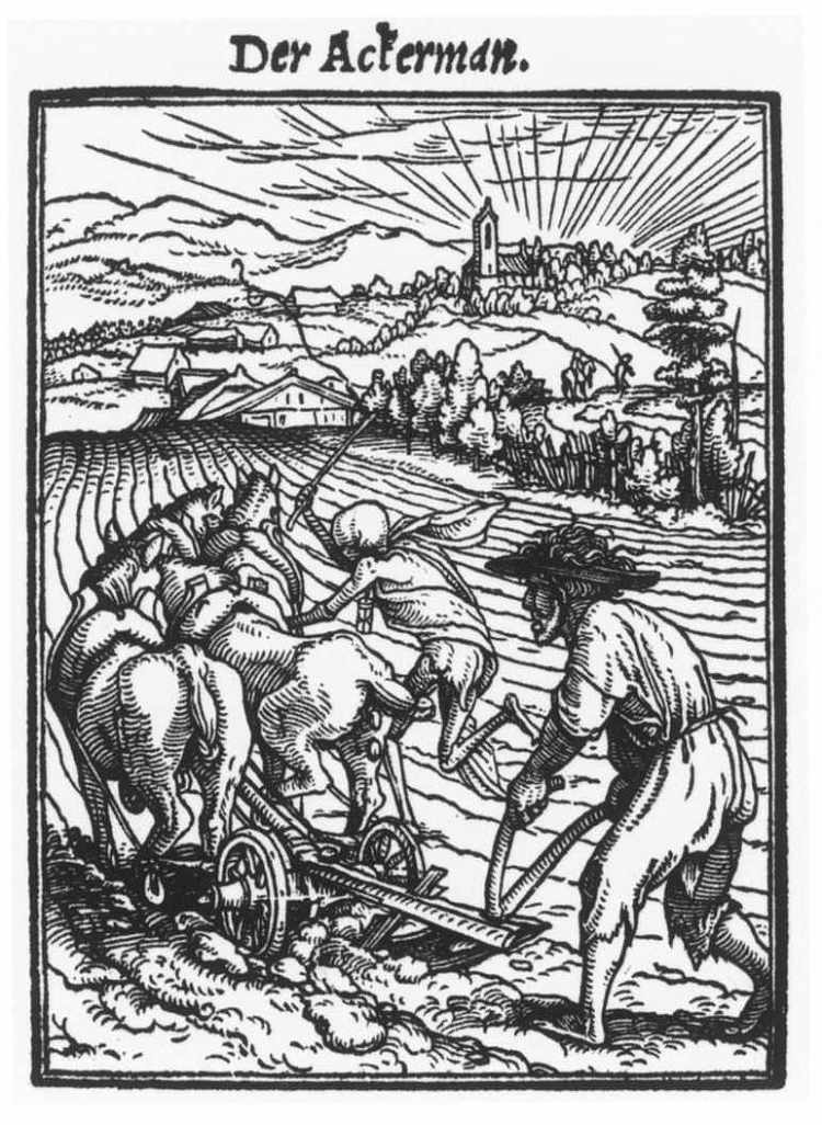 犁夫 The Plowman (c.1525; Germany  )，汉斯·荷尔拜因