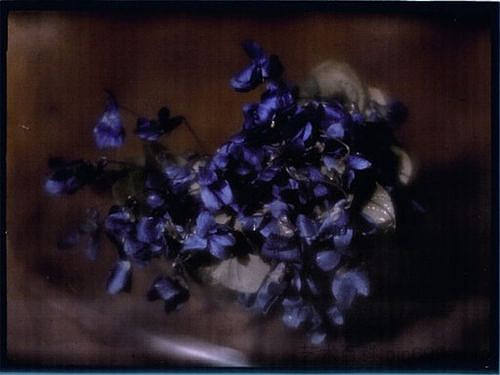 紫罗兰 Violets (1908)，海因里希·库恩