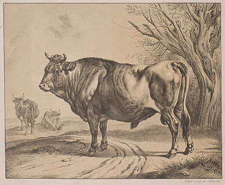 种公牛（在乔·亚当·克莱因之后） Breeding bull (after Joh.Adam Klein) (1818)，海因里希·帕平