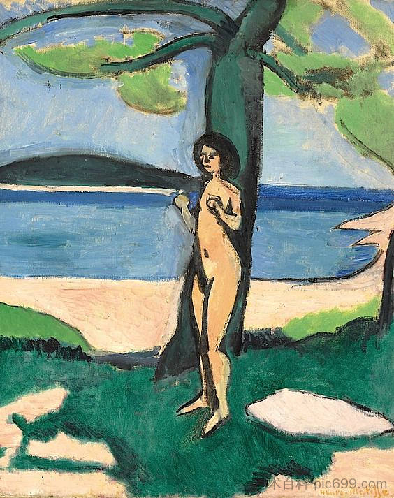 没有梅尔的董事会 Nu Au Bord De La Mer (1909),亨利·马蒂斯