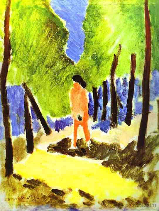 阳光普照的风景中的裸体 Nude in Sunlit Landscape (1909)，亨利·马蒂斯