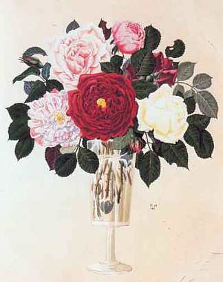 玫瑰 Roses (1916; St. Petersburg,Russian Federation                     )，希尔西·纳布特