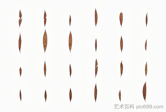 10月27日在格拉斯格拉本收集的叶子 Leaves Collected on 27 of October in the Glasgraben (1977)，赫尔曼·德·弗里斯