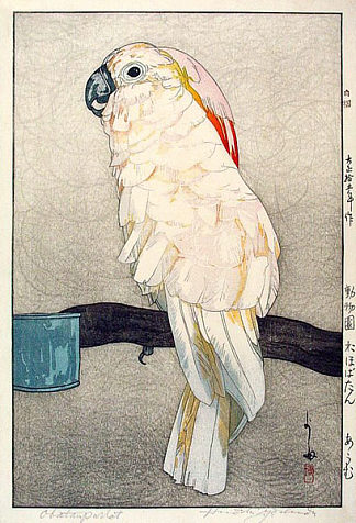 鹦鹉药物 Obatan Parrot (1926)，吉田博