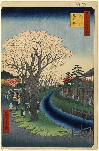 42. 多摩川岸边的樱花 42. Cherry Blossoms on the Banks of the Tama River (1857)，歌川广重