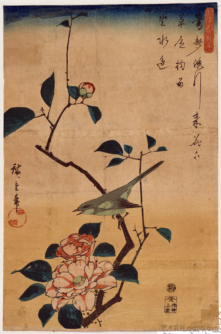 山茶花和灌木莺 Camellia and Bush Warbler (1840 - 1844)，歌川广重